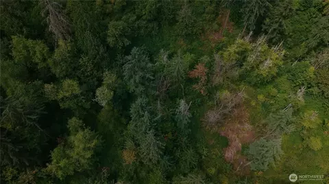 0 128th Ave E, Edgewood, WA 98372 photo 10
