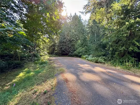 10516 106th St, Anderson Island, WA 98303