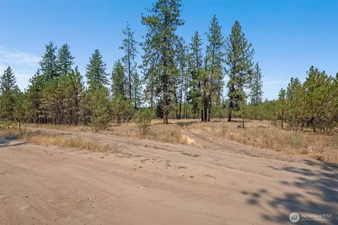 7540 Kimberly Dr Way, Ford, WA 99013
