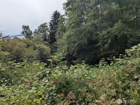 0 Lamontay Lot Apt 6 Pl, Ilwaco, WA 98624