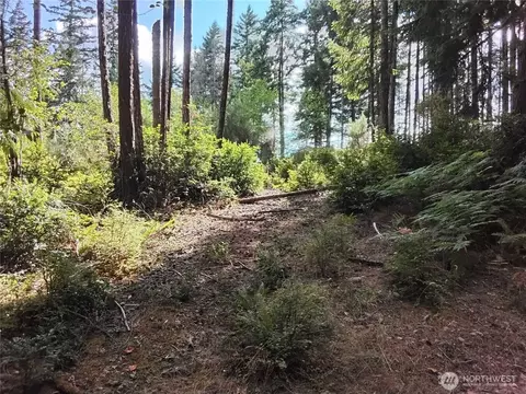 0 E Frontier Rd, Grapeview, WA 98546 photo 11