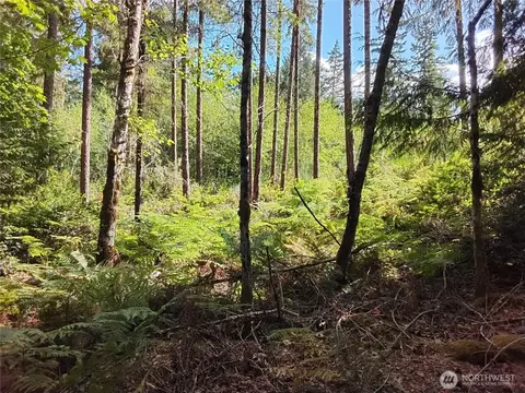 0 E Frontier Rd, Grapeview, WA 98546 photo 16