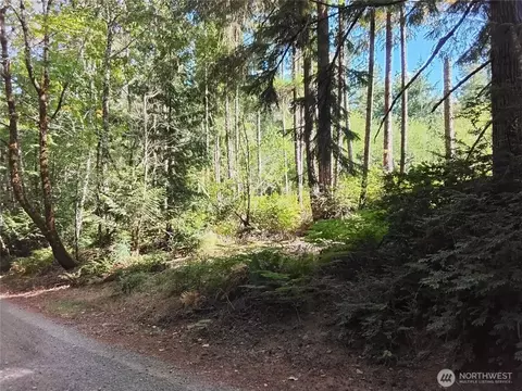 0 E Frontier Rd, Grapeview, WA 98546 photo 9