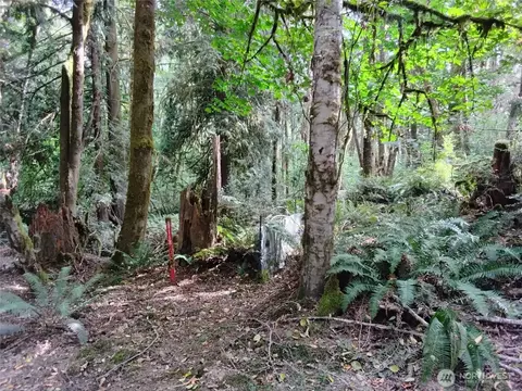 0 E Frontier Rd, Grapeview, WA 98546 photo 23