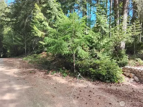 0 E Frontier Rd, Grapeview, WA 98546 photo 2