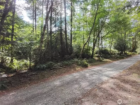 0 E Frontier Rd, Grapeview, WA 98546 photo 21