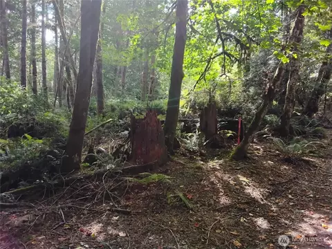 0 E Frontier Rd, Grapeview, WA 98546 photo 27