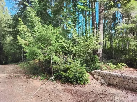 0 E Frontier Rd, Grapeview, WA 98546