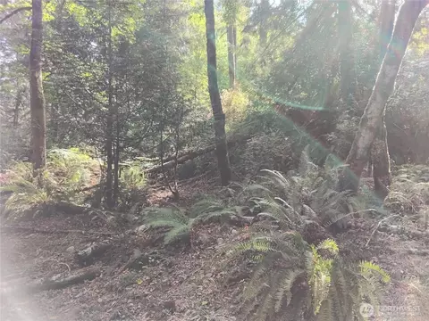 0 E Frontier Rd, Grapeview, WA 98546 photo 20