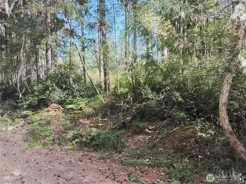 0 E Frontier Rd, Grapeview, WA 98546 photo 5