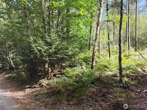 0 E Frontier Rd, Grapeview, WA 98546 photo 15