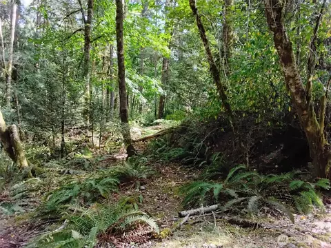 0 E Frontier Rd, Grapeview, WA 98546 photo 19