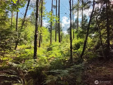0 E Frontier Rd, Grapeview, WA 98546 photo 17