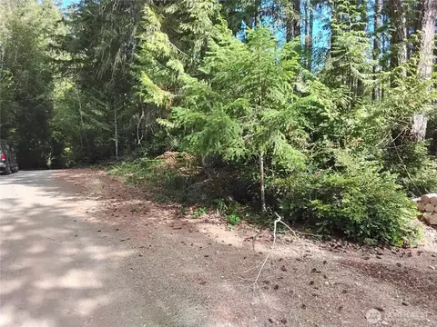 0 E Frontier Rd, Grapeview, WA 98546 photo 3