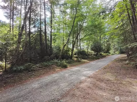 0 E Frontier Rd, Grapeview, WA 98546 photo 22