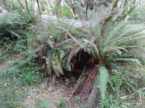 0 E Frontier Rd, Grapeview, WA 98546 photo 33