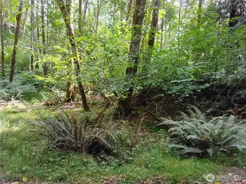 0 E Frontier Rd, Grapeview, WA 98546 photo 35