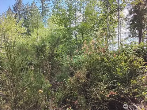 0 E Frontier Rd, Grapeview, WA 98546 photo 13