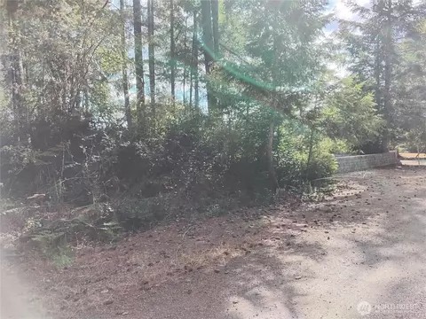 0 E Frontier Rd, Grapeview, WA 98546 photo 6