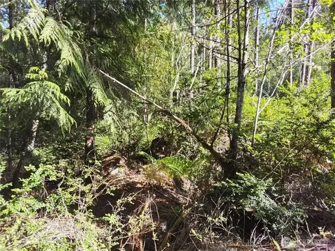 0 E Frontier Rd, Grapeview, WA 98546 photo 14