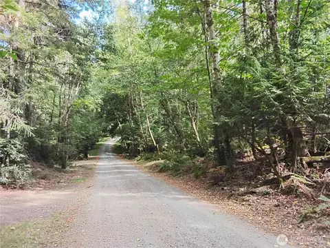 0 E Frontier Rd, Grapeview, WA 98546 photo 18