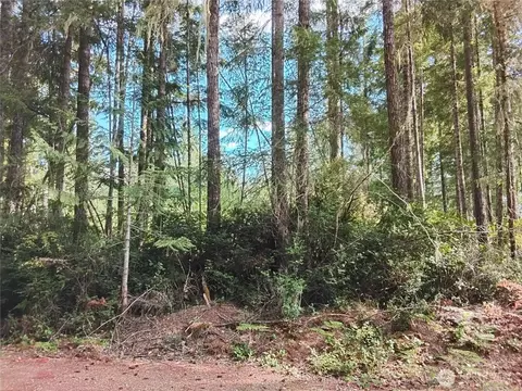 0 E Frontier Rd, Grapeview, WA 98546 photo 7