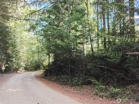 0 E Frontier Rd, Grapeview, WA 98546 photo 8