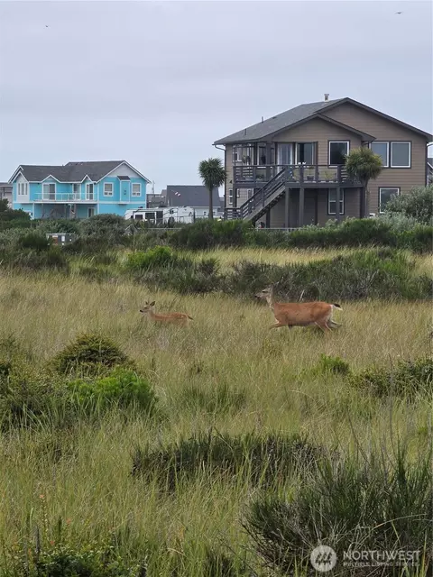 1440 Ocean Crest Ave SW, Ocean Shores, WA 98569
