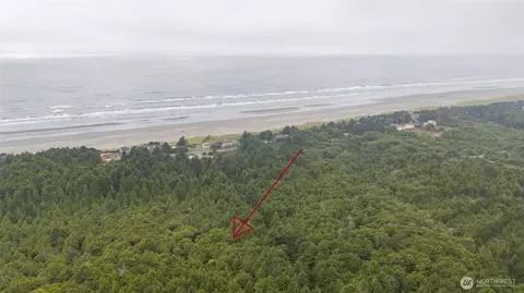 0 Lots 1-3 Lincoln Lot 12 Garfield, Moclips, WA 98562