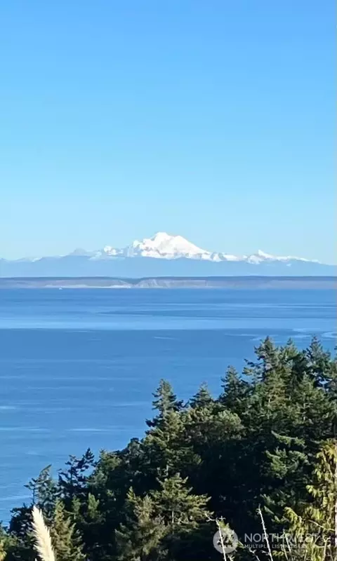 View/Area - 91 Huckleberry Cir, Sequim, WA 98382 photo 1 of 3