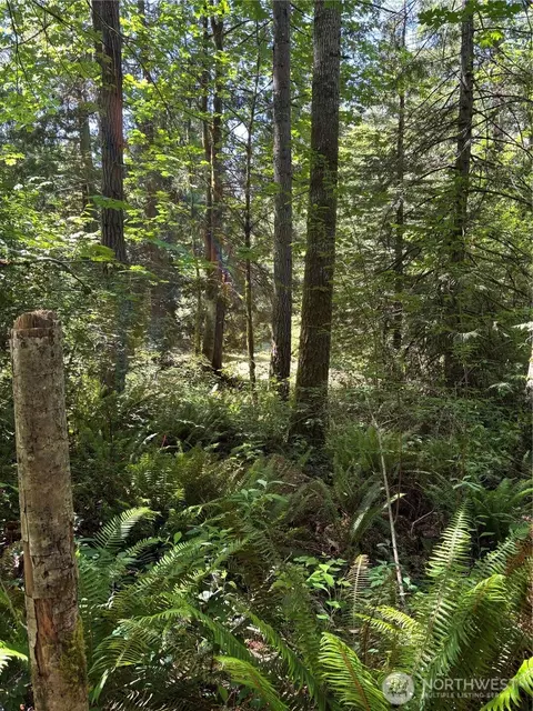 11 Lot Cassie Pl NW, Poulsbo, WA 98370