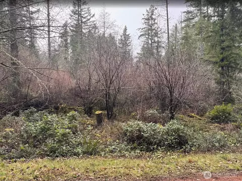 10618 Tahoma Dr, Anderson Island, WA 98303