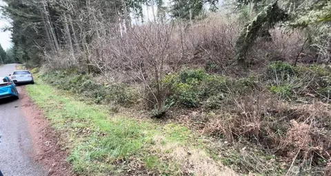 10618 Tahoma Dr, Anderson Island, WA 98303