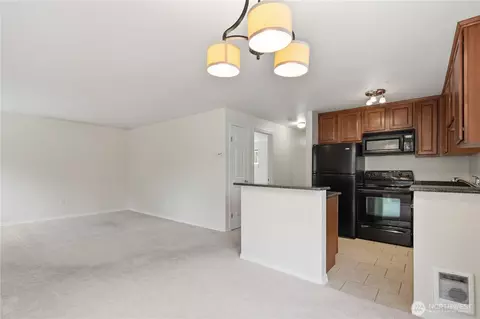 Other - 20322 Bothell Everett Hwy #E301, Bothell, WA 98012 photo 4 of 11