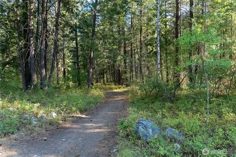 Other - 9 Deer Run Loop Rd, Winthrop, WA 98862 photo 15 of 18