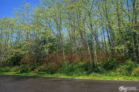 821 Duck Lake Dr NE, Ocean Shores, WA 89569