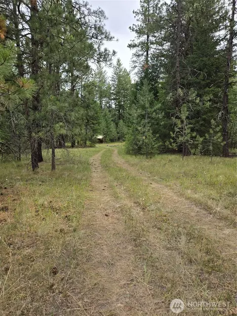 0 Tbd Turner Lake Rd, Tonasket, WA 98855