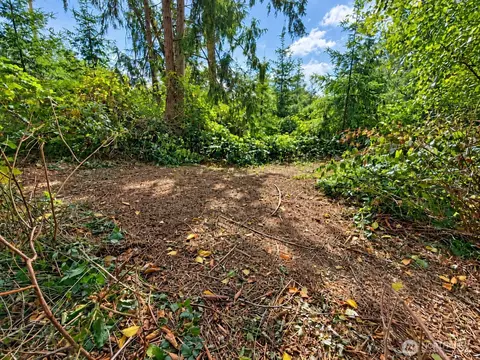 0 W Nn W Dry Lake Rd, Camano Island, WA 98282