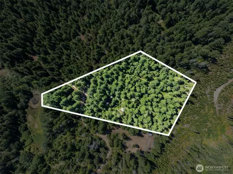 2461 W Hanks Lake Rd, Shelton, WA 98584