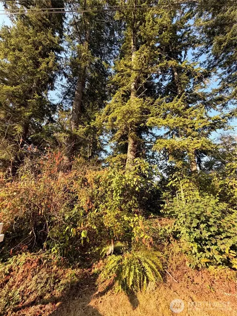 15620 Goldbar Dr, Gold Bar, WA 98251