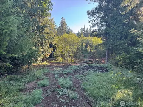 0 N Pass Rd, Everson, WA 98295 photo 4
