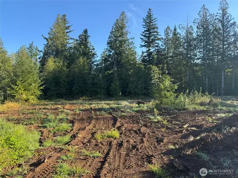0 N Pass Rd, Everson, WA 98295 photo 7