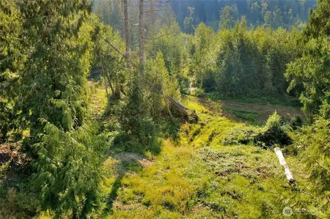 0 N Pass Rd, Everson, WA 98295 photo 8