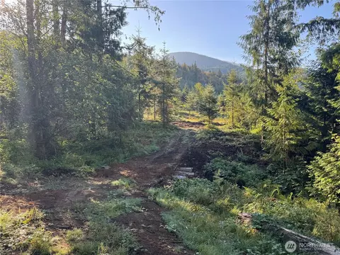 0 N Pass Rd, Everson, WA 98295 photo 5