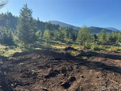 0 N Pass Rd, Everson, WA 98295 photo 6