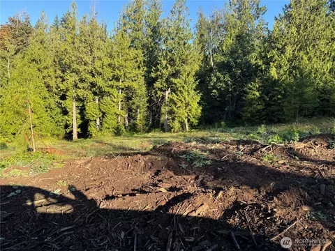 0 N Pass Rd, Everson, WA 98295 photo 3
