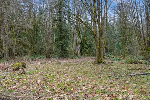 7738 Maple Dr, Maple Falls, WA 98266 photo 2