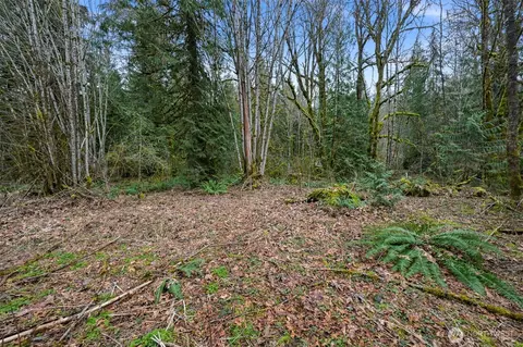7738 Maple Dr, Maple Falls, WA 98266 photo 4