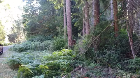 12106 Sound Dr, Anderson Island, WA 98303