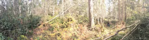 0 160th Ave NW, Gig Harbor, WA 98329